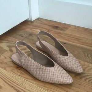 everlane v slingback